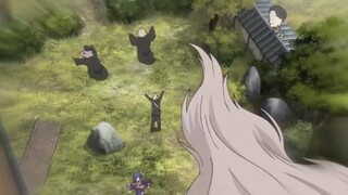 Natsume, who is loved by monsters, is being fought over!