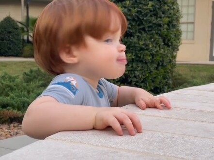 That adorable little cutie bouncing and skipping along a bit too fast—its charm can only be fully ap