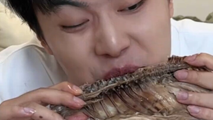 Fans’ Insane Challenge: A Ze Always Gets the Job Done! Scavenging for a Meal! Today…
