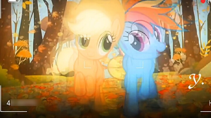 ฟิลเตอร์ที่ไม่มีใครเทียบได้ในคลาสสิก