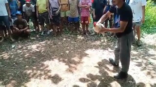 kanawayon tad tad na Ng Tama ung manok Namin nabulunan ung kalaban mapurol Kasi Tari Namin 🤣🤣🤣🤣