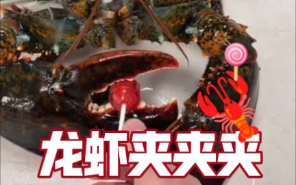 【猎奇】大龙虾的钳力