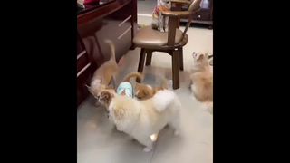 มารุมอะไรเรา