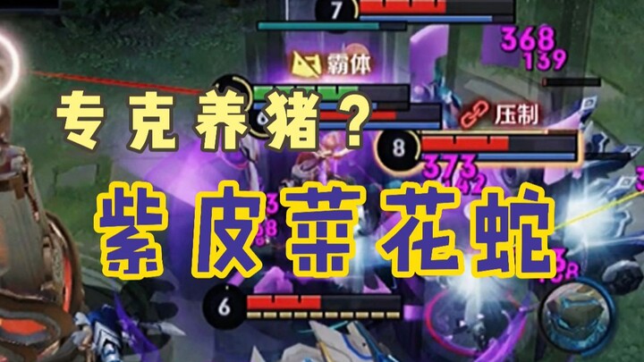 Donghuang Instructor: The Nemesis of Pig Raising? Here Comes the Purple-Skinned Cauliflower Snake!