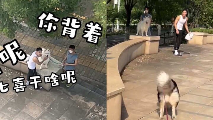 Dog: After Dad finished grocery shopping, he didn’t come home! Instead, he sneaked off behind my bac