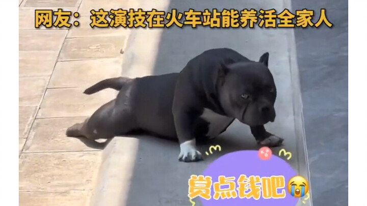 Để bạn xem thế nào là diễn xuất đỉnh cao 😂