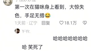 猫咪突然发现它喝的水变浑浊了！