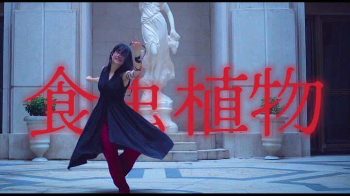 【Kakumi】▚ Carnivorous Plants ☻ [Improvisation]