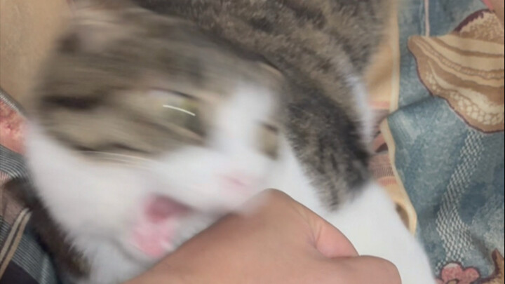 Phản ứng của tôi còn mạnh gấp bảy lần.