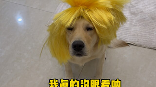 Ping: My heart is with you—how dare you play mind games with me?