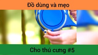Đồ dùng và mẹo cho thú cưng p5