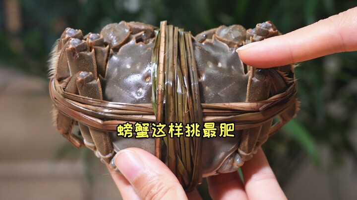 Want to know if the crabs are plump and fatty? Just take a quick look here—pick one, and you're guar