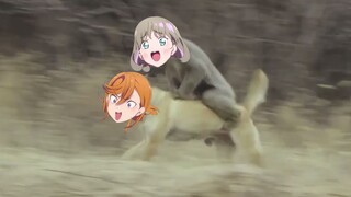 【LoveLive!】Enak sekali!