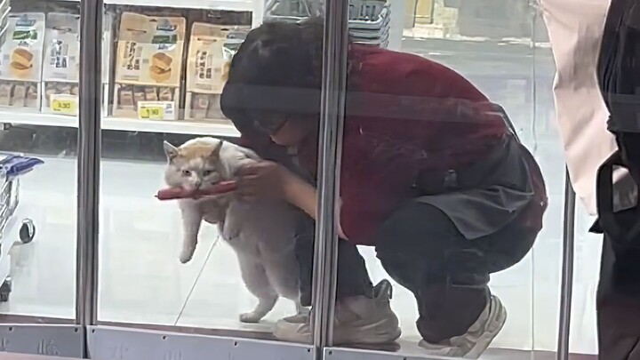 “Kucing di kampus”