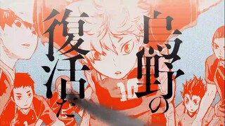 【排球少年】今天的失败者，明天的你又会成为怎样的人
