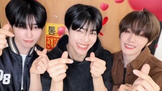 【ZB1】ซอง ฮันบิน×ปาร์ค กันอุค×คิม คยูบิน✨何が好き_ฮะーい.ᐟ .ᐟ .ᐟ🙋‍♂️