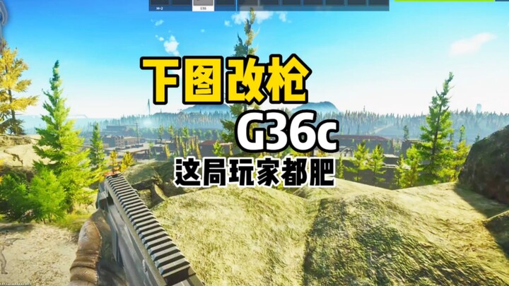 Escape from Tarkov: Gun mod for the G36C in the image below