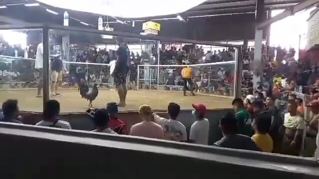 pang 4 na panalo nayan mga idol.