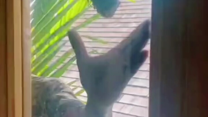 Level-99 Human’s Divine Move: Sticking a Stick into a Hornet’s Nest