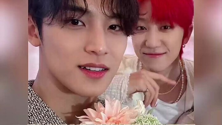 Kim Min-kyu: Aku adalah wajah Seventeen! Anggota: Siapa yang mengizinkanmu menjadi wajahnya? Seung-h