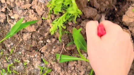 100-Day Vagabond Challenge, Day 2