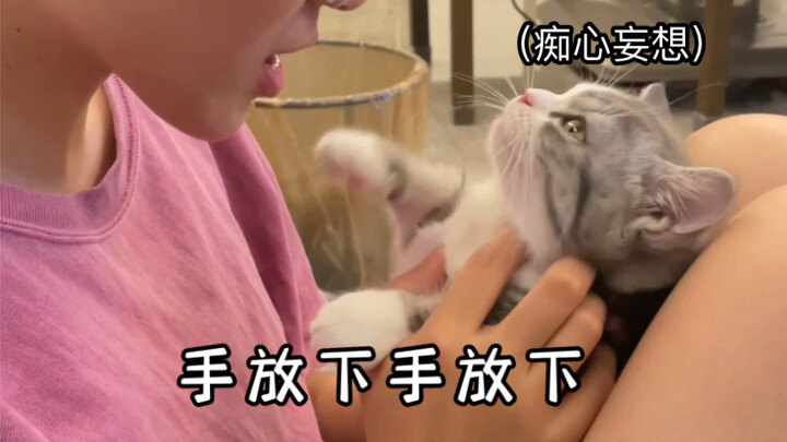 When your friend who’s seriously addicted to cats comes over to your place to cuddle cats.