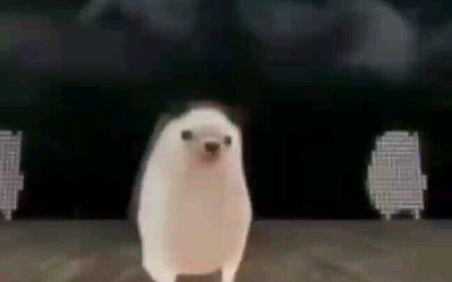 Một số thứ kỳ lạ