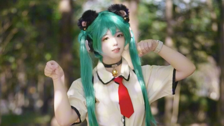 Cat ear switchꉂ ᳐˶> ᵕ ᵒ˶ ᳐ฅ Is the morning sunshine beautiful?