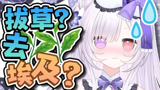 谐音梗钓鱼扣分！！！
