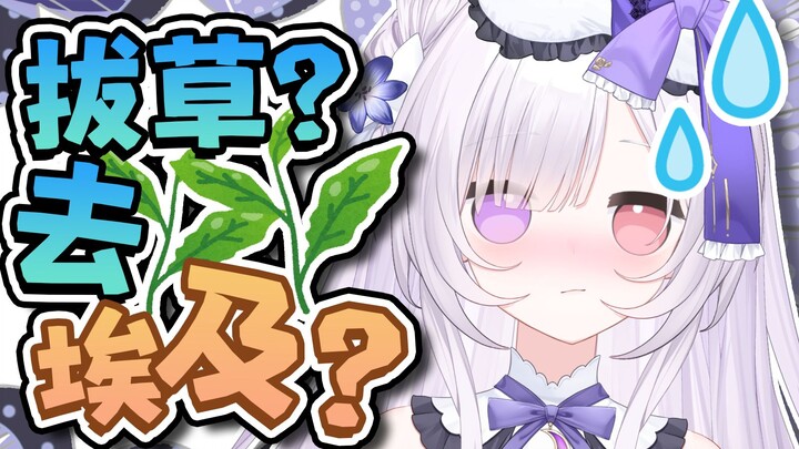 谐音梗钓鱼扣分！！！