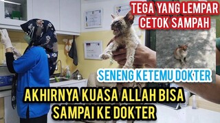 Kucing Liar Sakit Scabies Parah Sering Di Usir Part 2 Akhirnya Bisa Berobat Ke Dokter..!