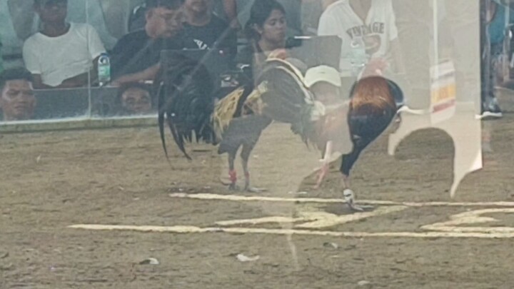 san Jacinto Coliseum 2nd entry 1st fyt talo!!