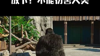 影视-秘密动物园