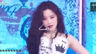 Both sides are going wild!!!!!!