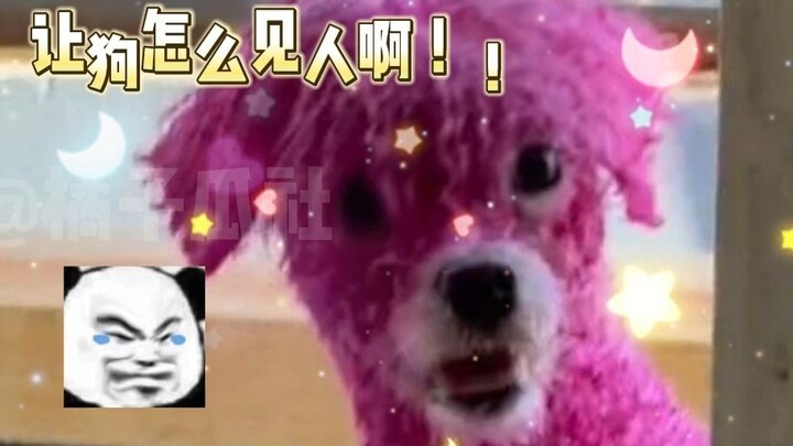 Setelah diwarnai, kayak rapper