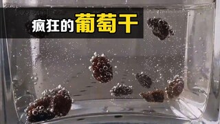 Scientists threw raisins into soda, and an interesting phenomenon occurred. They also published a pa