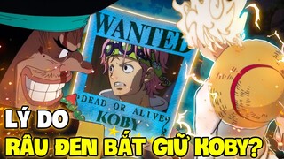 RÂU ĐEN MUỐN GÌ Ở KOBY?! | LÝ DO RÂU ĐEN BẮT KOBY TRONG ONE PIECE