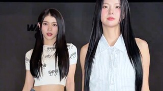 เซิ่นเสี่ยวถิง & ชเวยูจิน เต้นคัฟเวอร์เพลง Golden ของกลุ่มสาวล่าปีศาจ