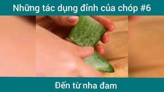 Những tác dụng đỉnh của nha đam p6