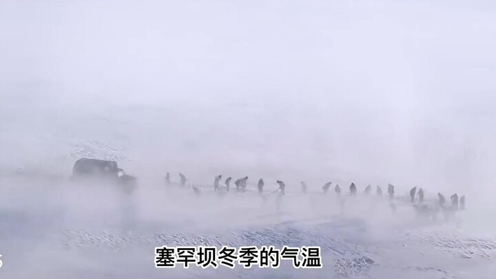 نسي السائق توصيل المؤن، وكاد ثمانية طلاب جامعيين يموتون جوعًا، ثم تجمّد العجوز الذي ذهب لتوصيل الطعا