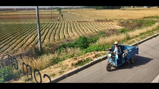 I can't leave Henan; you take the 1 million test-takers with you.