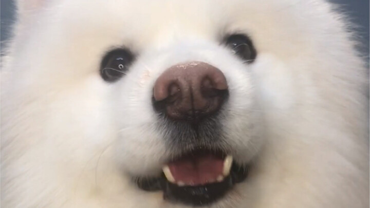 ทำไมมันน่ารักขนาดนี้นะ?