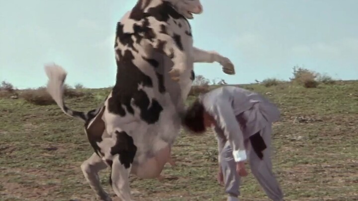 Thời gian bắn đạn của cô bò sữa khiến người ta khó quên