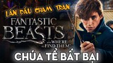 Tất Cả Những Gì Đã Xảy Ra Trong FANTASTIC BEASTS AND WHERE TO FIND THEM | Harry Potter Series