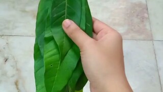 Mango Leaf Toran _ Origami Using Mango Leaf