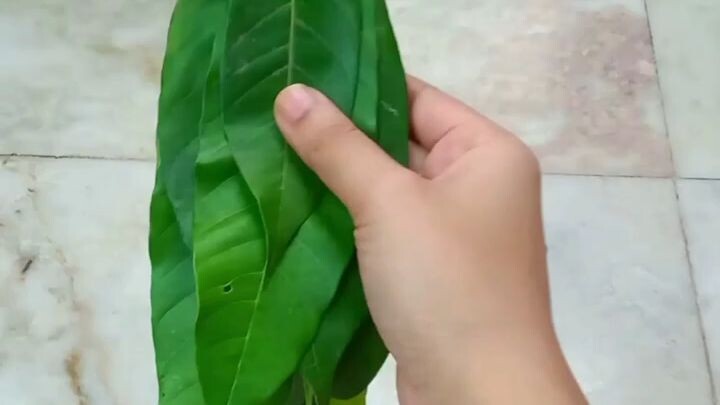 Mango Leaf Toran _ Origami Using Mango Leaf