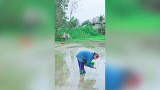 Cái kết mà nhiều anh em mong chờ là đây