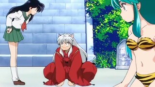 Kolaborasi impian antara InuYasha, Ranma, dan Lucky Boy!