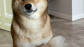 ابن أمي الكبير (همسات خفية)