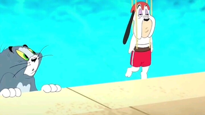 [Animation] Tom và Droopy nhảy cầu